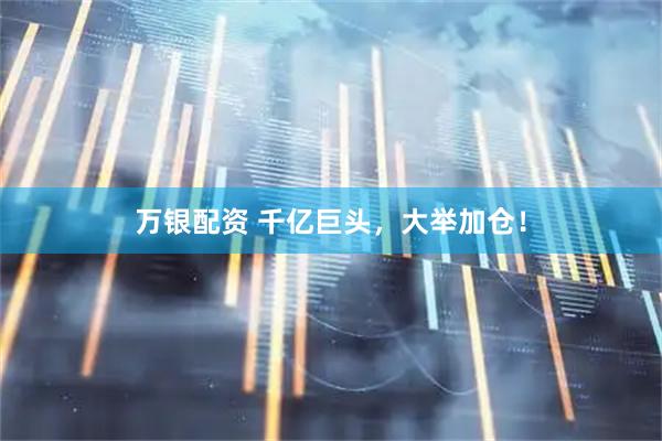 万银配资 千亿巨头，大举加仓！