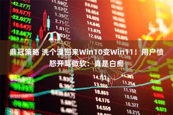 鼎冠策略 洗个澡回来Win10变Win11！用户愤怒开骂微软：真是白痴