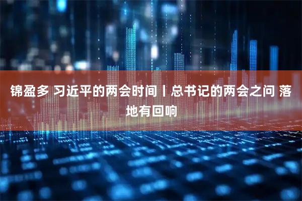 锦盈多 习近平的两会时间丨总书记的两会之问 落地有回响