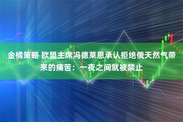 金橘策略 欧盟主席冯德莱恩承认拒绝俄天然气带来的痛苦：一夜之间就被禁止