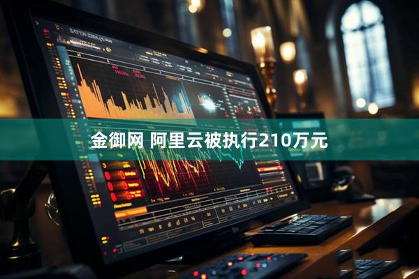 金御网 阿里云被执行210万元