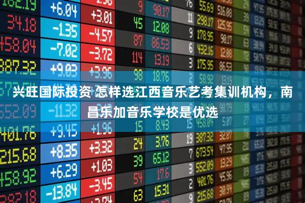 兴旺国际投资 怎样选江西音乐艺考集训机构，南昌乐加音乐学校是优选