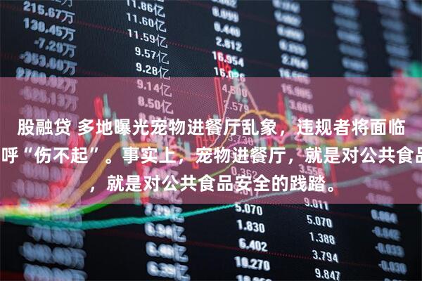 股融贷 多地曝光宠物进餐厅乱象，违规者将面临罚款，商家直呼“伤不起”。事实上，宠物进餐厅，就是对公共食品安全的践踏。