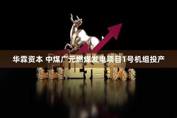 华霖资本 中煤广元燃煤发电项目1号机组投产