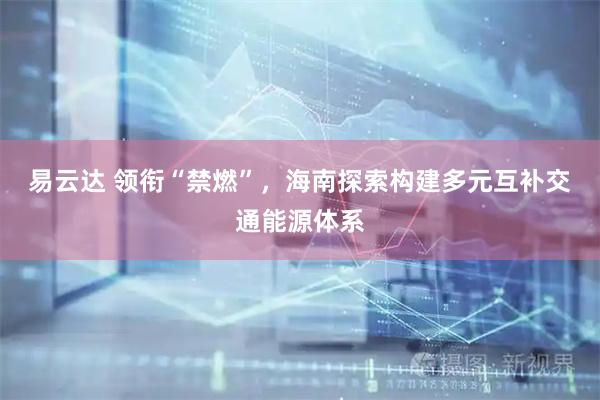 易云达 领衔“禁燃”，海南探索构建多元互补交通能源体系