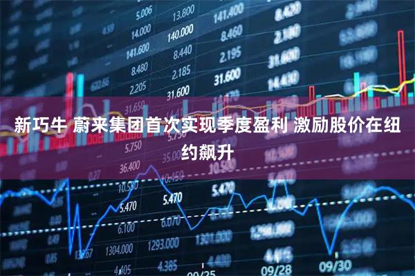 新巧牛 蔚来集团首次实现季度盈利 激励股价在纽约飙升