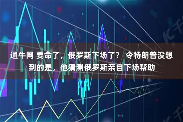 通牛网 要命了,俄罗斯下场了? 令特朗普没想到的是,他猜测俄罗斯亲自下场帮助