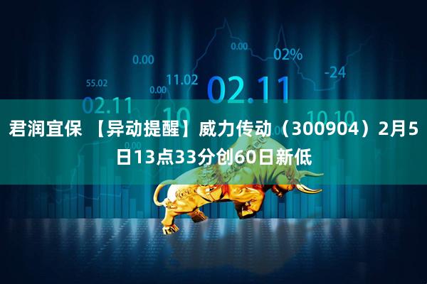 君润宜保 【异动提醒】威力传动（300904）2月5日13点33分创60日新低