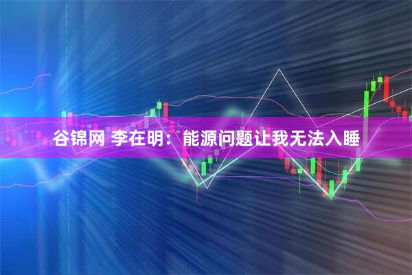 谷锦网 李在明：能源问题让我无法入睡