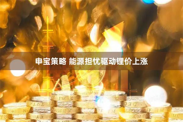 申宝策略 能源担忧驱动锂价上涨
