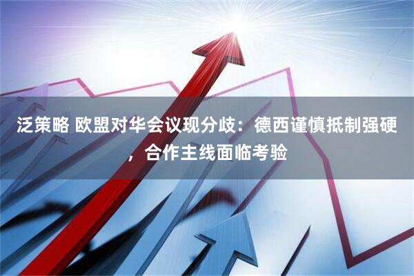 泛策略 欧盟对华会议现分歧：德西谨慎抵制强硬，合作主线面临考验