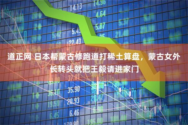 道正网 日本帮蒙古修跑道打稀土算盘，蒙古女外长转头就把王毅请进家门