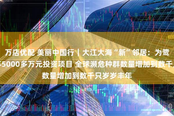万店优配 美丽中国行｜大江大海“新”邻居：为鹭让岛！放弃5000多万元投资项目 全球濒危种群数量增加到数千只岁岁丰年