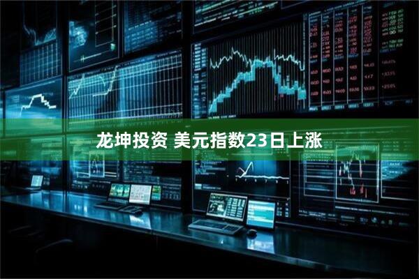 龙坤投资 美元指数23日上涨