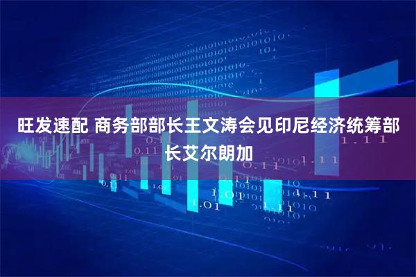 旺发速配 商务部部长王文涛会见印尼经济统筹部长艾尔朗加