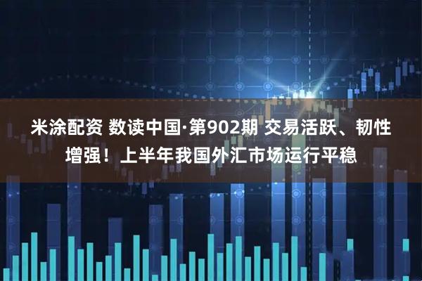 米涂配资 数读中国·第902期 交易活跃、韧性增强！上半年我国外汇市场运行平稳